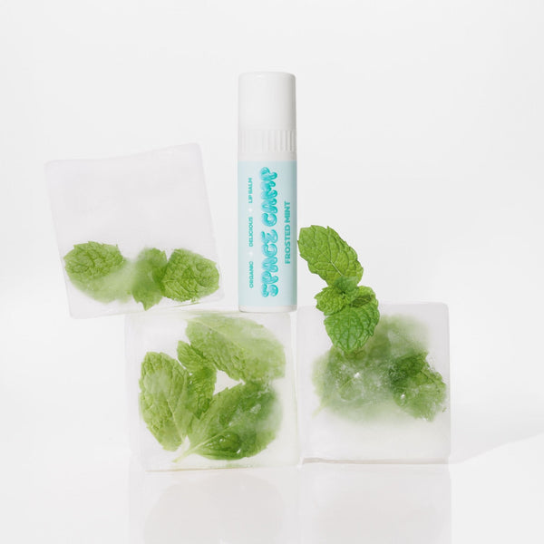 Frosted Mint Lip Balm