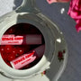 Space Camp Wild Cherry lip balms displayed in a vintage floral dish surrounded by vibrant red candies and pink roses.