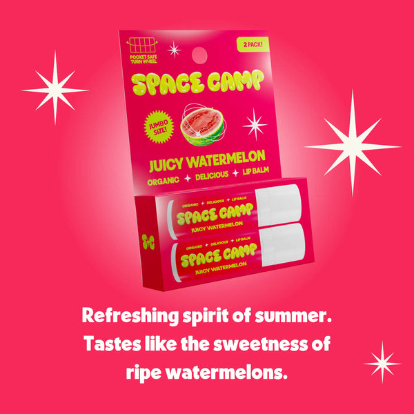 Flavored Organic Lip Balms Space Camp Wellness flavored-organic-lip-balms-space-camp-wellness