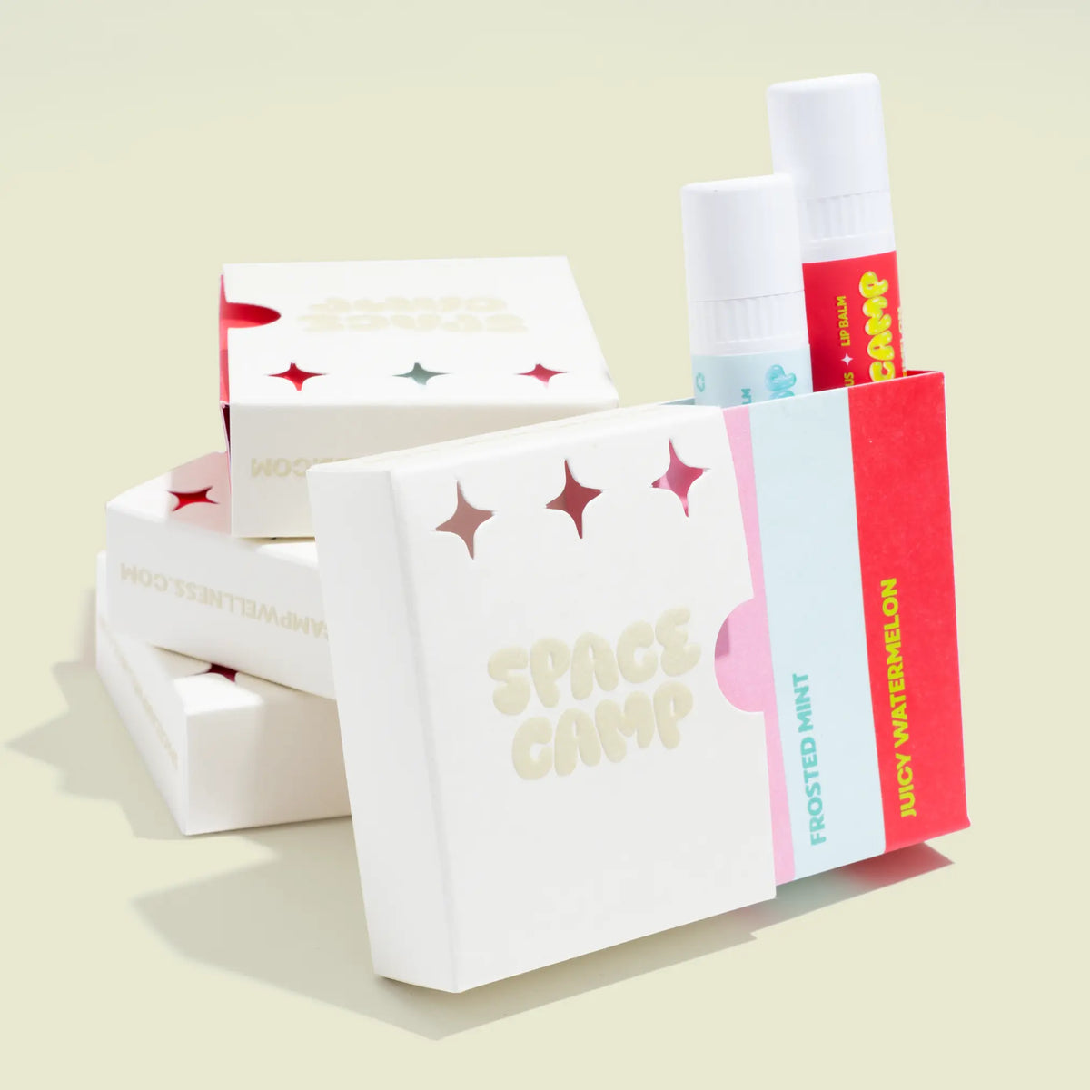 Flavored Lip Balm Shop Space Camp Wellness flavored-lip-balm-shop-space-camp-wellness